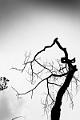 2023_05_15 (0013)